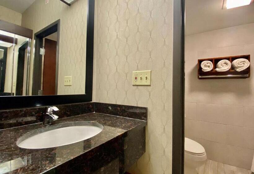 Люкс Кровать Кинг, Best Western Plus Houston Energy Corridor