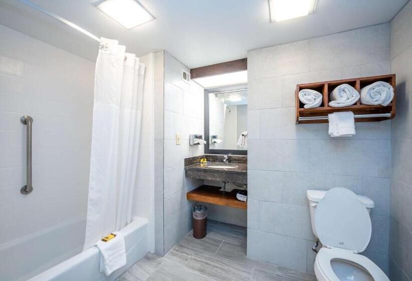 Номер Стандарт, Best Western Plus Houston Energy Corridor