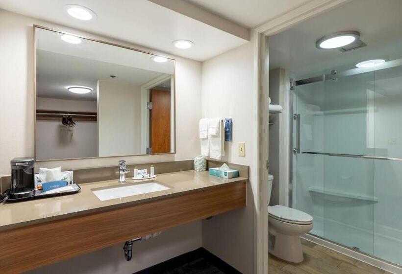 Standard Værelse King Size Seng, Fairfield Inn By Marriott Evansville West