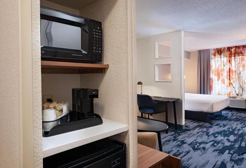 Номер Deluxe Кровать Кинг, Fairfield Inn & Suites Kansas City Airport