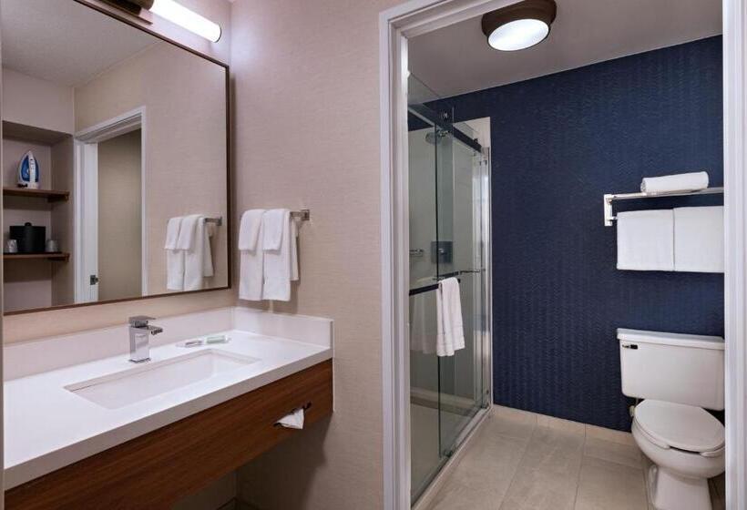 Стандартный Номер Кровать Кинг, Fairfield Inn & Suites Kansas City Airport