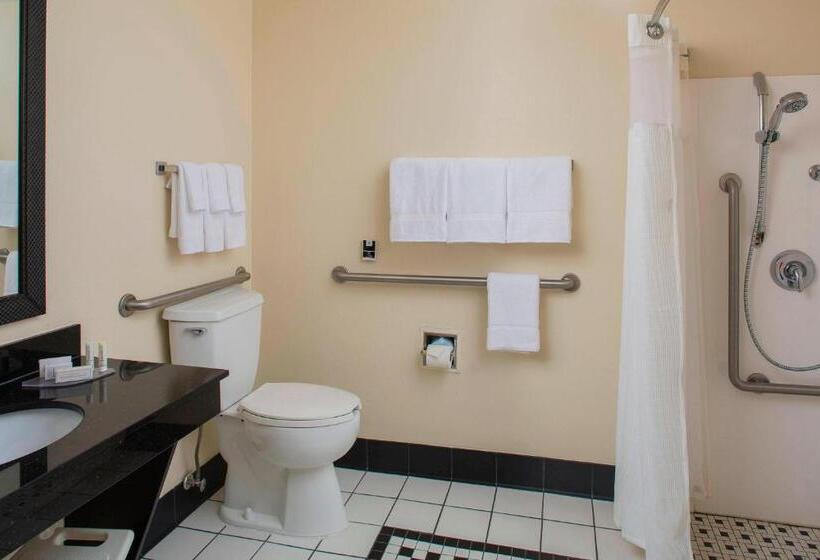 스탠다드 룸 킹사이즈 침대, Fairfield Inn & Suites Lafayette I10