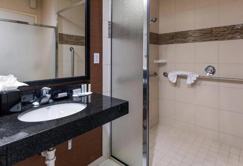 Стандартный Номер Кровать Кинг, Fairfield Inn Salt Lake City South