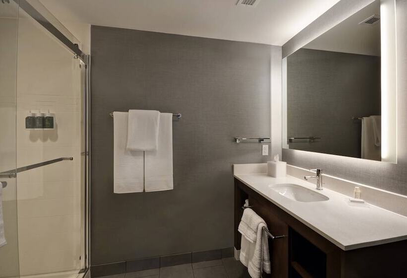 جناح مطل على المدينة, Residence Inn By Marriott New Orleans French Quarter Area/cen B