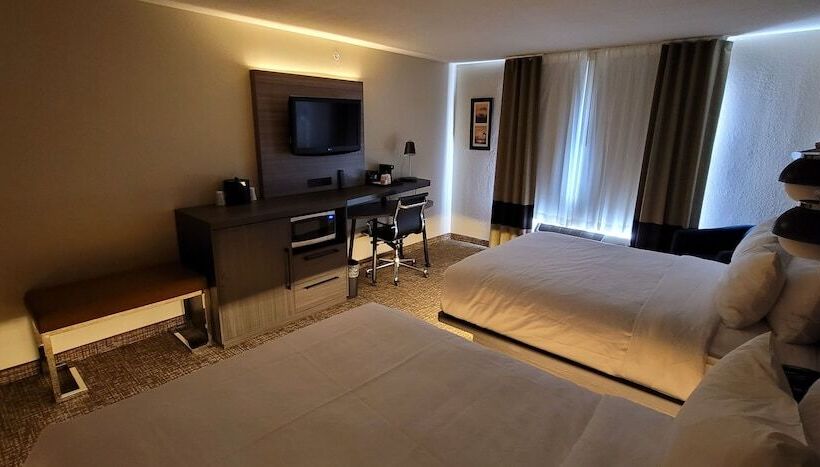 带2个双人床的标准工作室, Comfort Inn & Suites North Dallasaddison