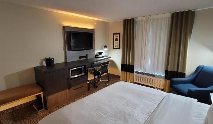 带大床的标准间, Comfort Inn & Suites North Dallasaddison