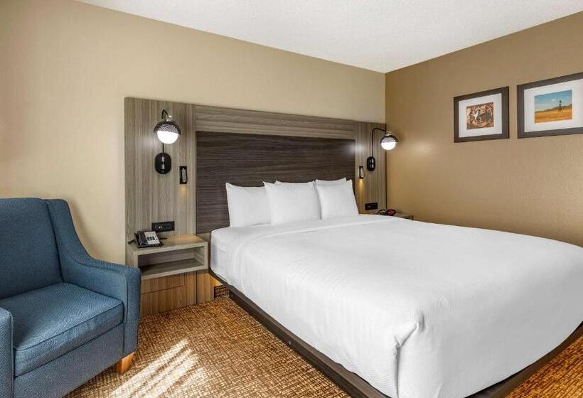 带大床的标准间, Comfort Inn & Suites North Dallasaddison
