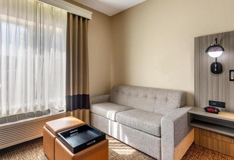 带大床的小型套房, Comfort Inn & Suites North Dallasaddison