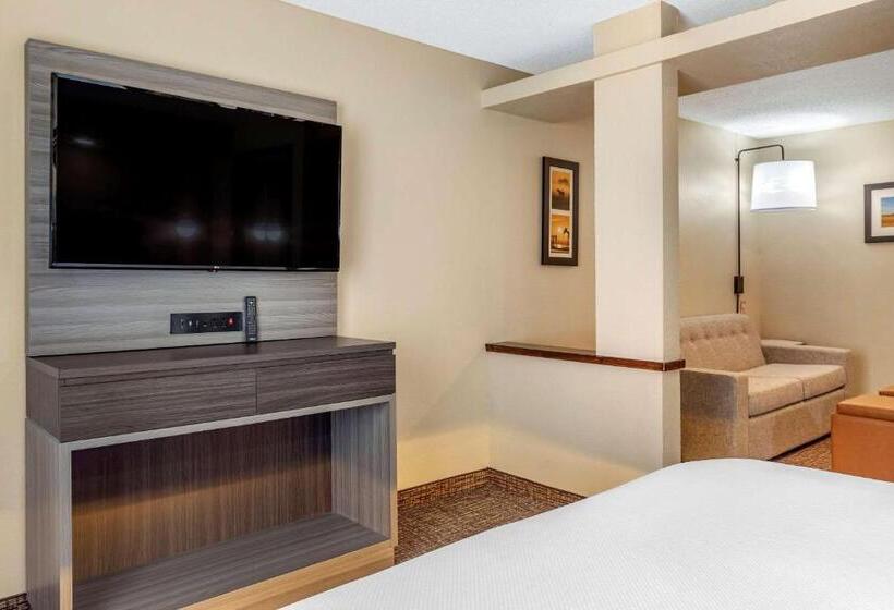带大床的套房, Comfort Inn & Suites North Dallasaddison