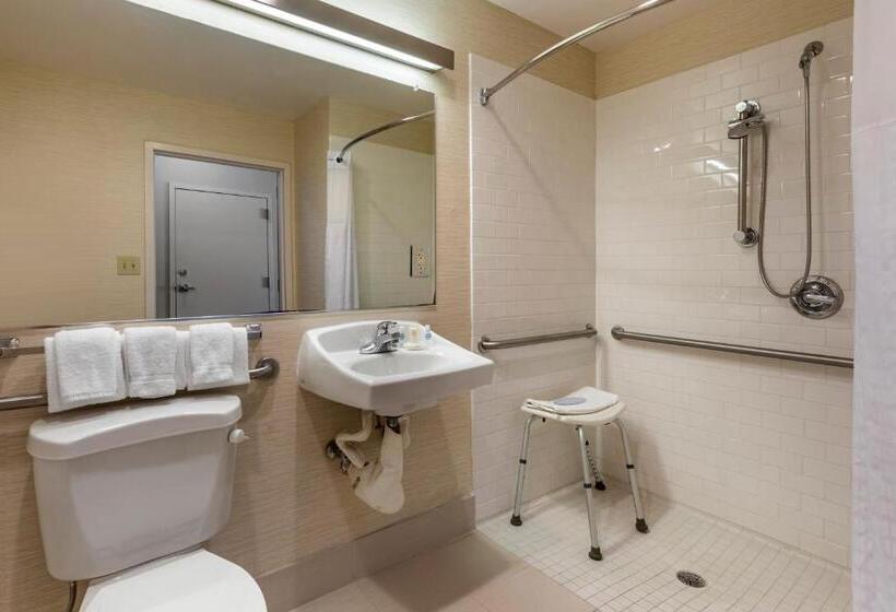 适合残疾人士使用的带超级大床的标准间, Comfort Inn & Suites North Dallasaddison