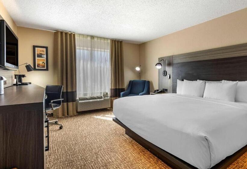 适合残疾人士使用的带超级大床的标准间, Comfort Inn & Suites North Dallasaddison