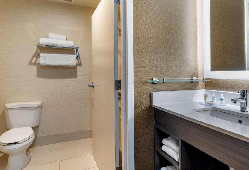 适合残疾人使用的标准间, Comfort Inn & Suites North Dallasaddison