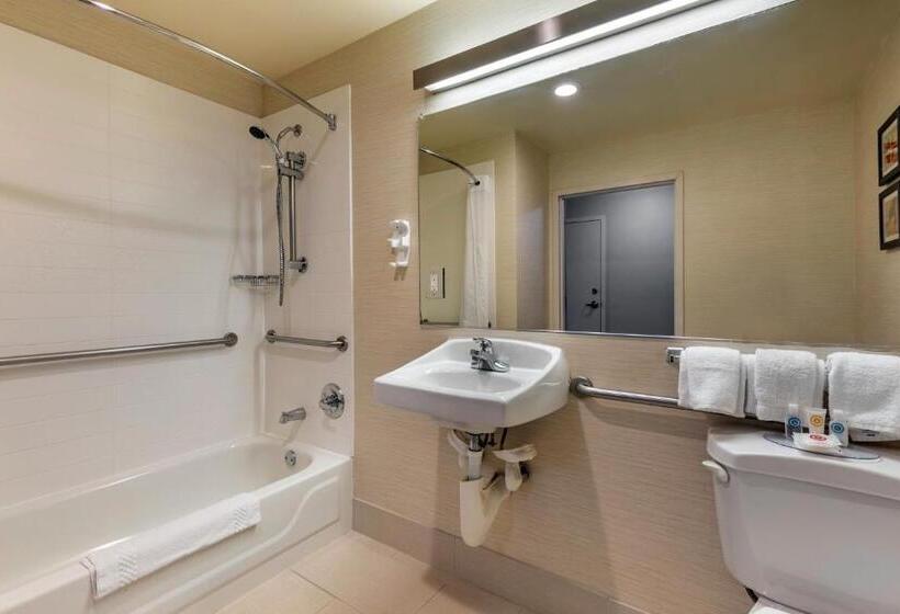 适合残疾人使用的标准间, Comfort Inn & Suites North Dallasaddison