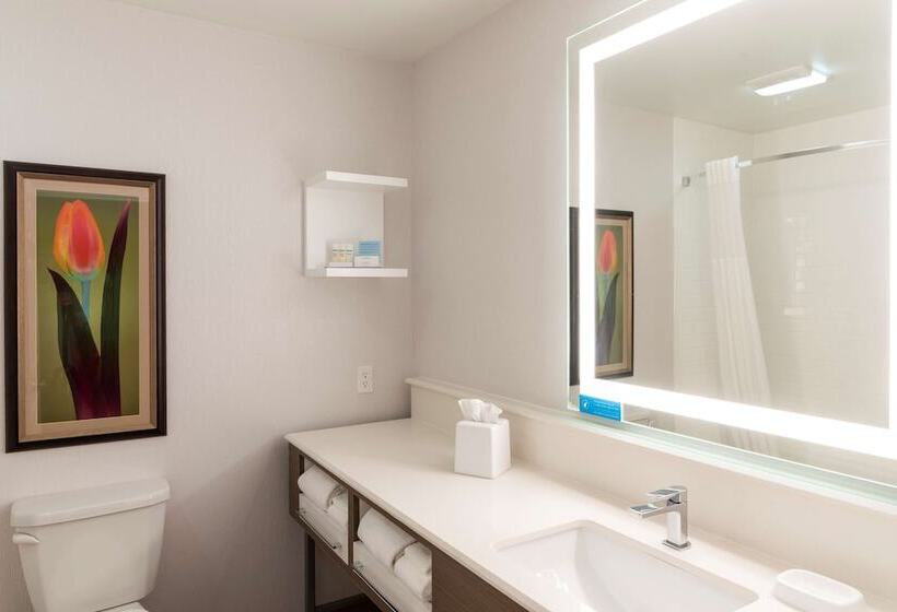 Номер Стандарт 2 Двуспальные Кровати, Hampton Inn Holland