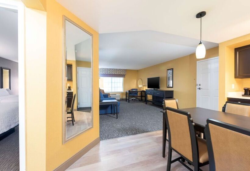 Люкс, Hampton Inn Holland