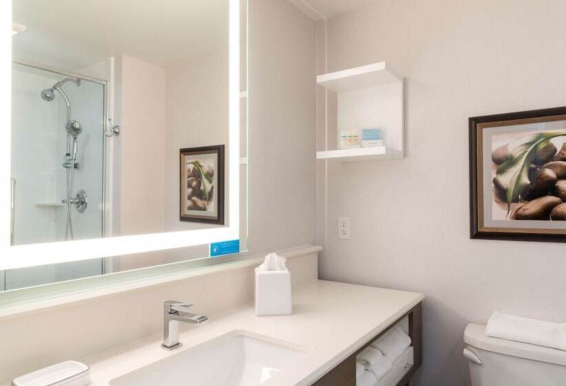 Люкс, Hampton Inn Holland