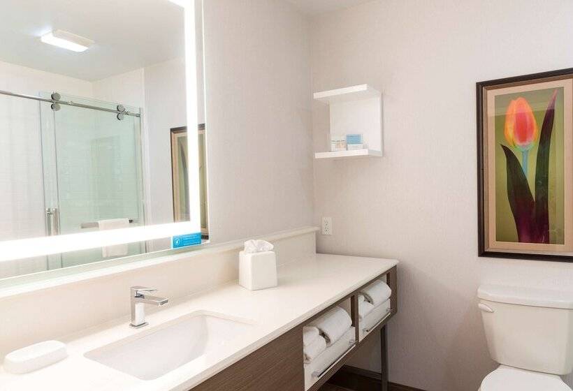 Номер Стандарт 2 Двуспальные Кровати, Hampton Inn Holland