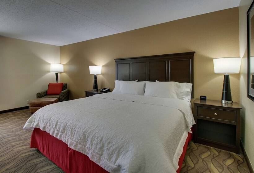 스탠다드 룸 킹사이즈 침대, Hampton Inn Lebanon