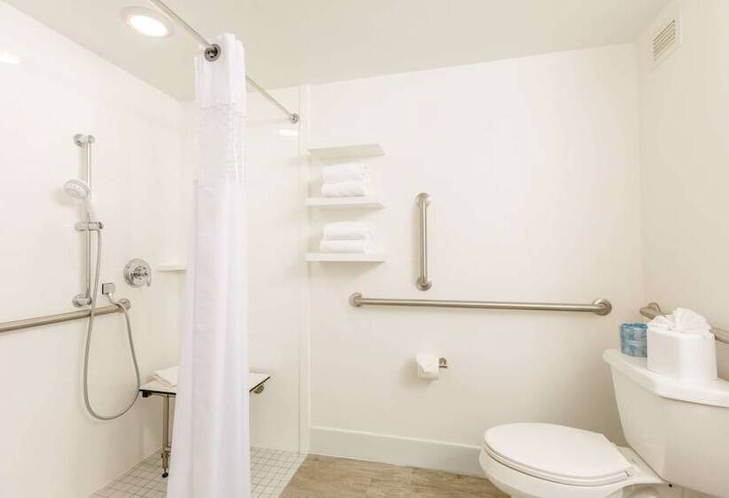 适合残疾人使用的标准间, Hampton Inn St. Charles St. Peters