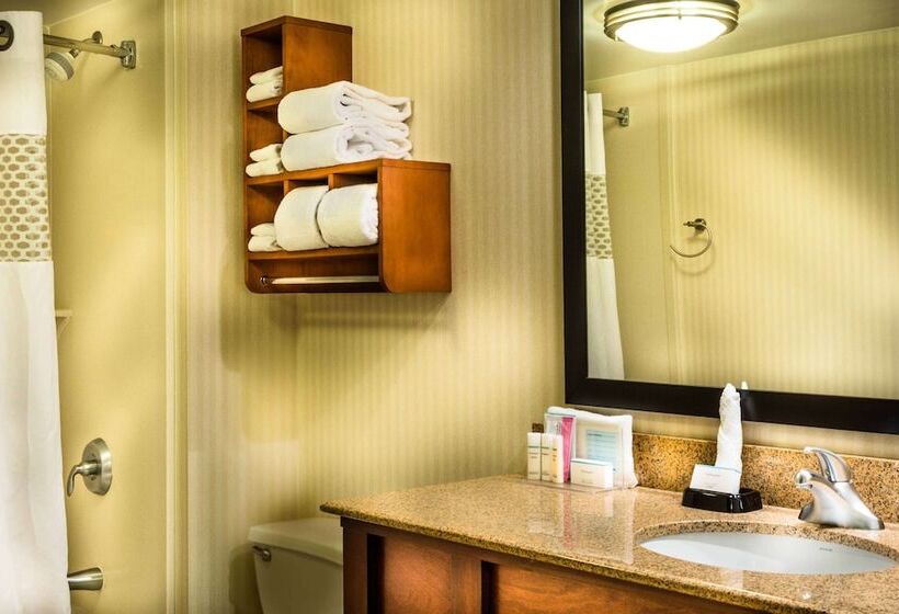 适合残疾人使用的标准间, Hampton Inn Washington