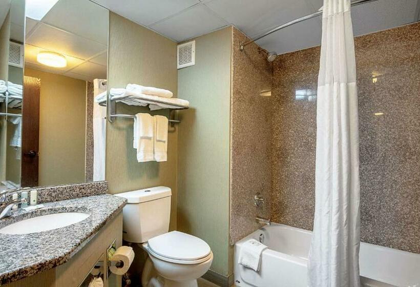Номер Стандарт 2 Двуспальные Кровати, Quality Inn Holly Springs South