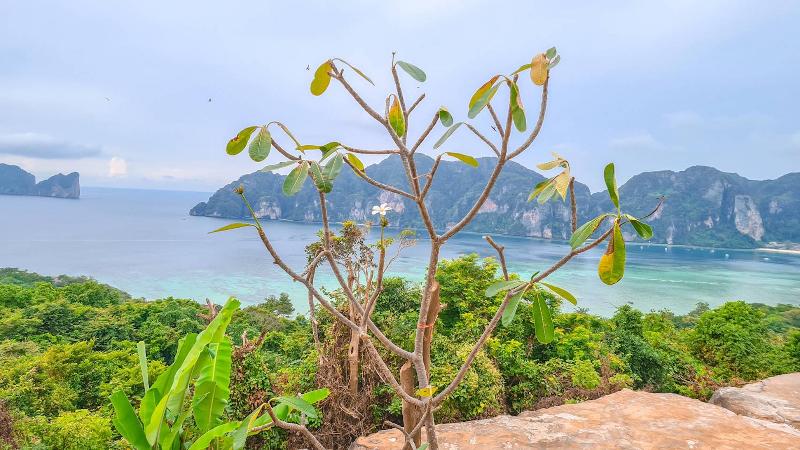 Номер Deluxe Вид на Море, Phi Phi Mountain Beach Resort Sha Certified