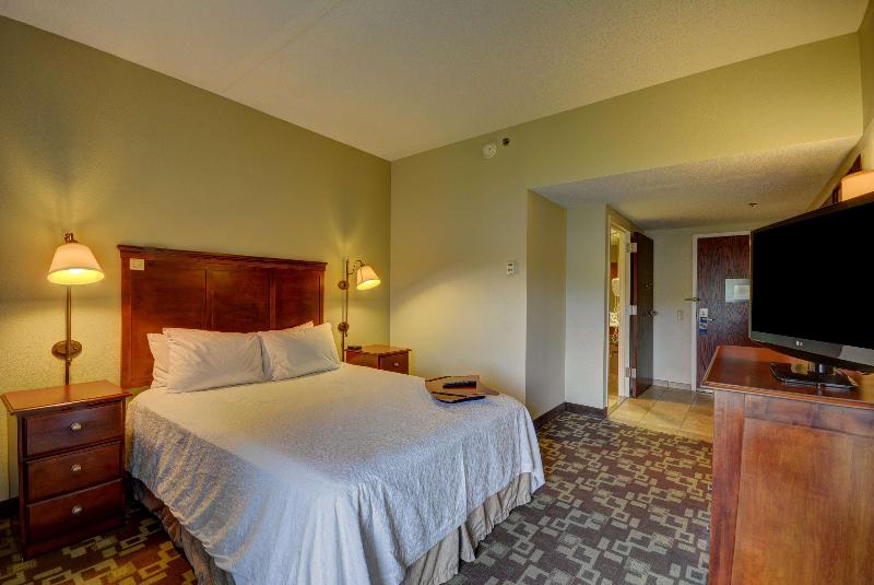 Deluxe-huone King-vuode, Hampton Inn By Hilton Indianapolis South