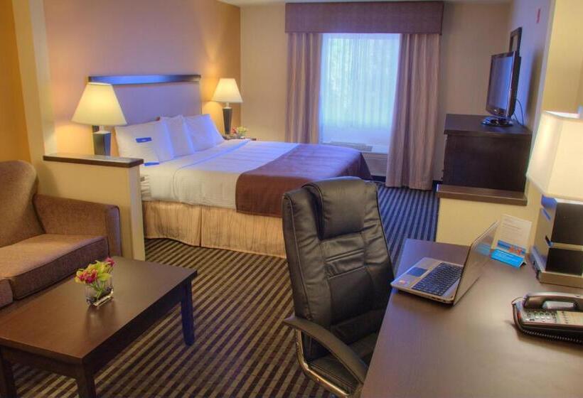 Студио Стандарт Кровать Кинг, Baymont By Wyndham Dallas/ Love Field