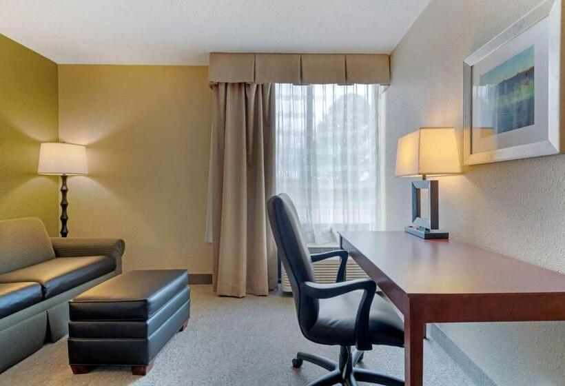 Стандартный Номер Кровать Кинг, Best Western Fairmont