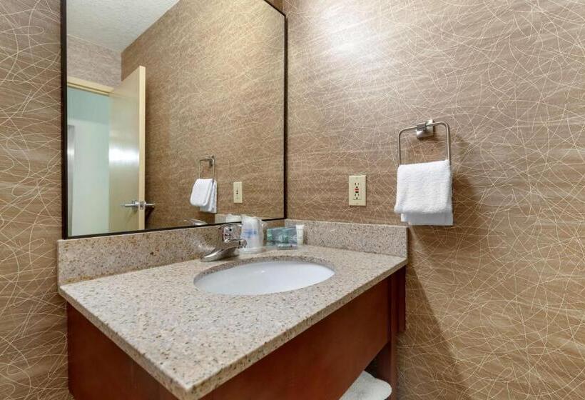 Номер Стандарт Вид на Бассейн, Best Western Fairmont