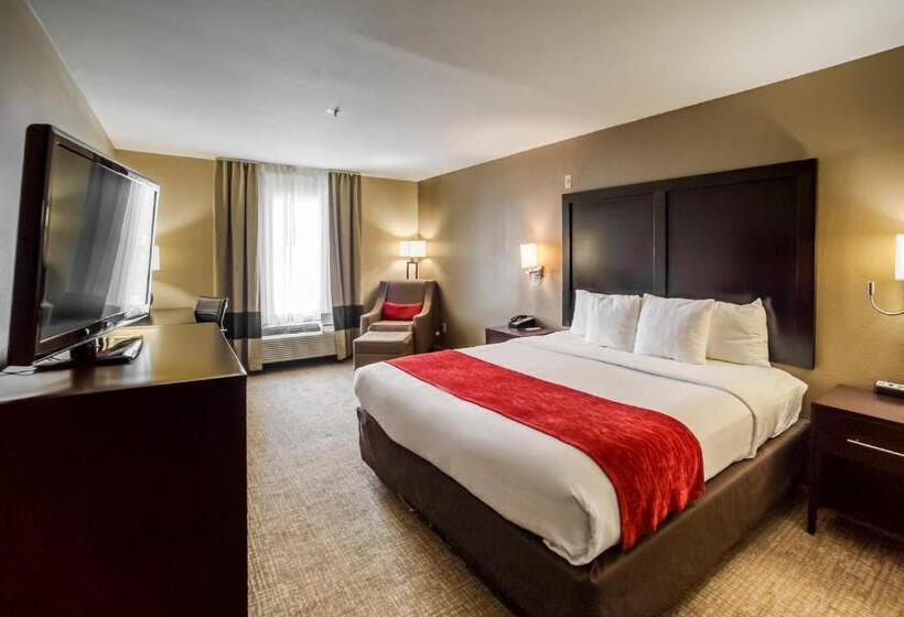Стандартный Номер Кровать Кинг, Comfort Inn & Suites Fm1960 Champions
