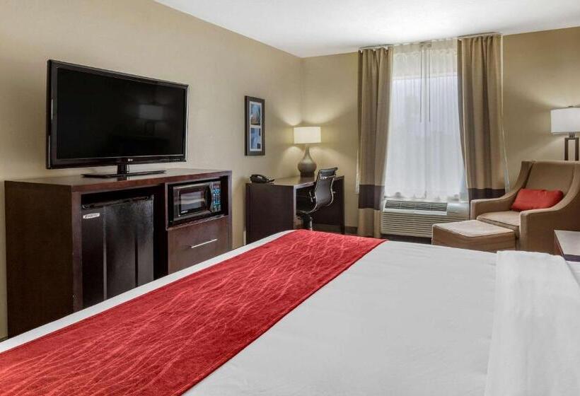 Стандартный Номер Кровать Кинг, Comfort Inn & Suites Fm1960 Champions