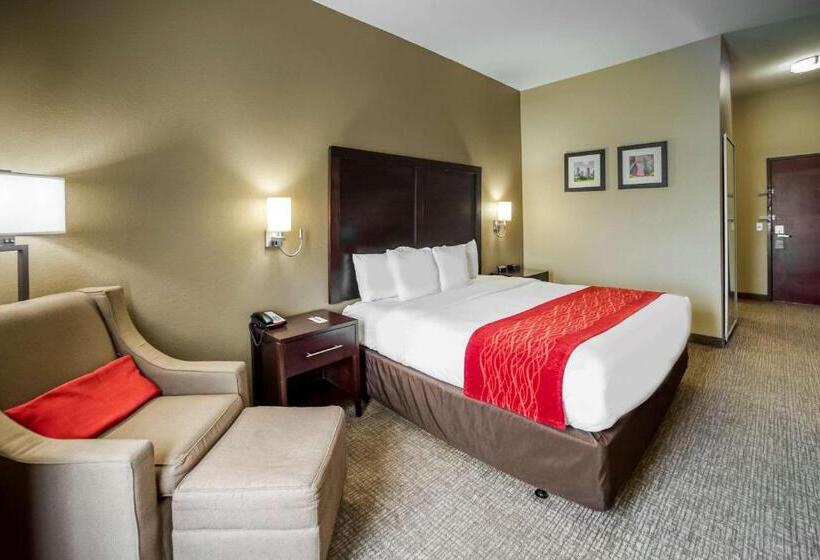 اتاق استاندارد با تخت بزرگ, Comfort Inn & Suites Fm1960 Champions