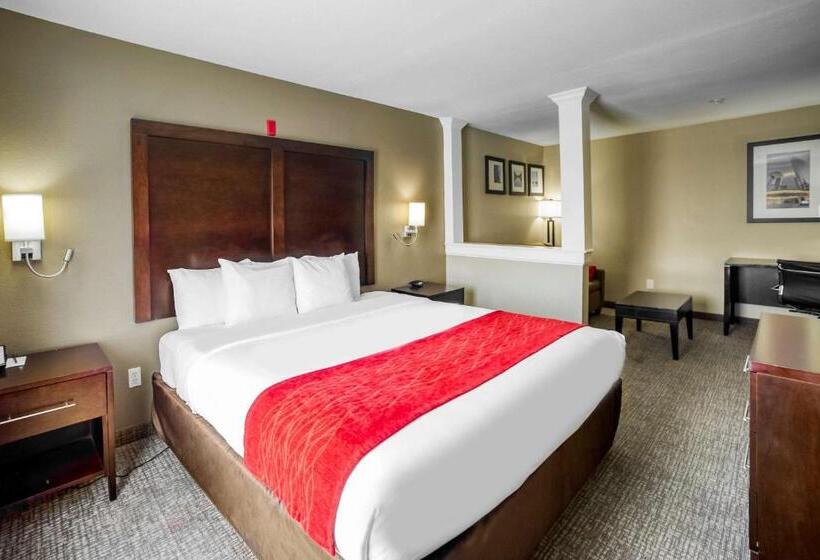 سوئیت با تخت بزرگ, Comfort Inn & Suites Fm1960 Champions