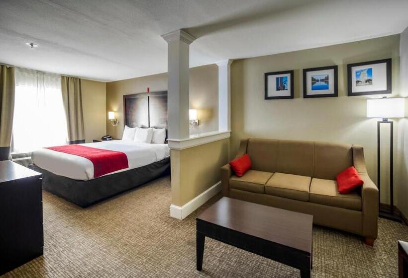 Люкс Адаптированный для Инвалидов, Comfort Inn & Suites Fm1960 Champions