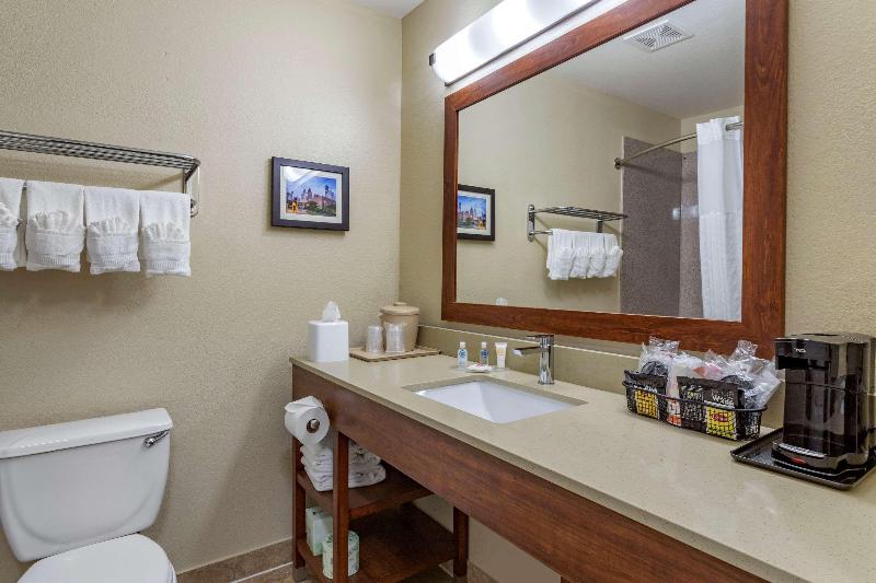 اتاق استاندارد با تخت بزرگ, Comfort Inn & Suites Fm1960 Champions