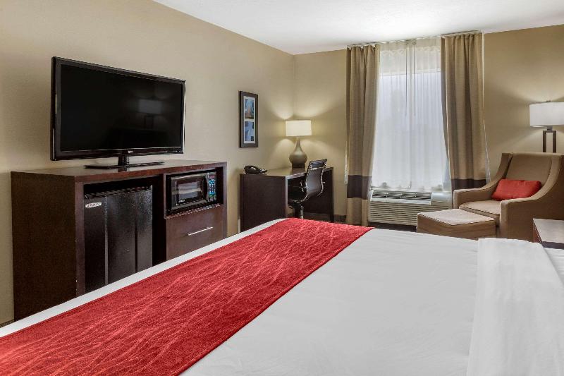اتاق استاندارد با تخت بزرگ, Comfort Inn & Suites Fm1960 Champions