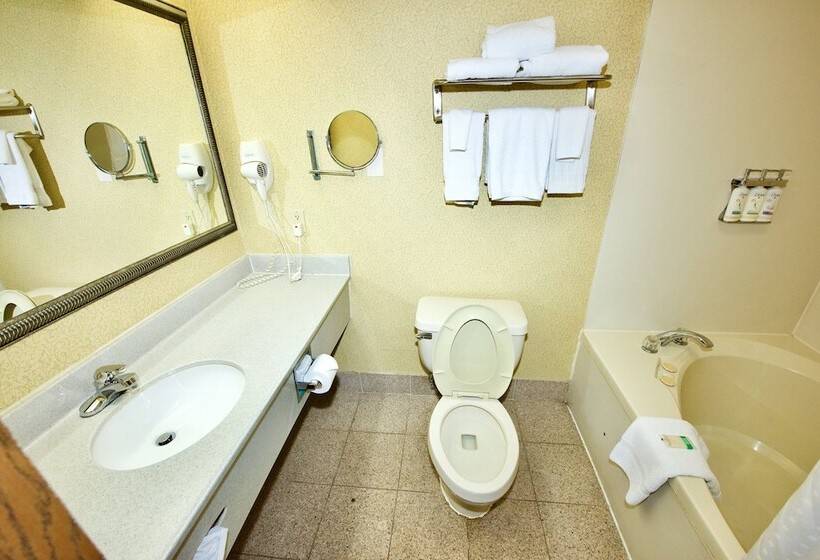 Люкс, Holiday Inn Express Hotel & Suites Fenton/i 44, An Ihg
