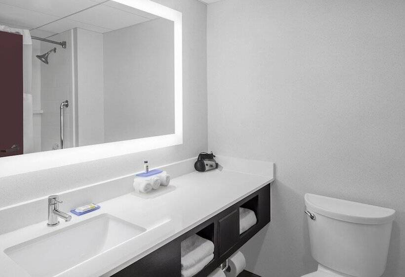 Номер Стандарт, Holiday Inn Express & Suites Asheville Sw   Outlet Ctr Area, An Ihg