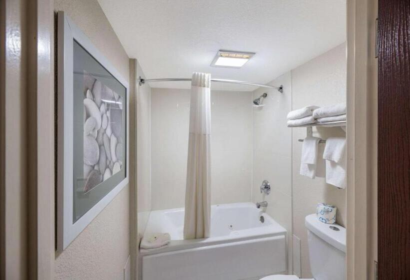 Стандартный Номер Кровать Кинг, Quality Inn