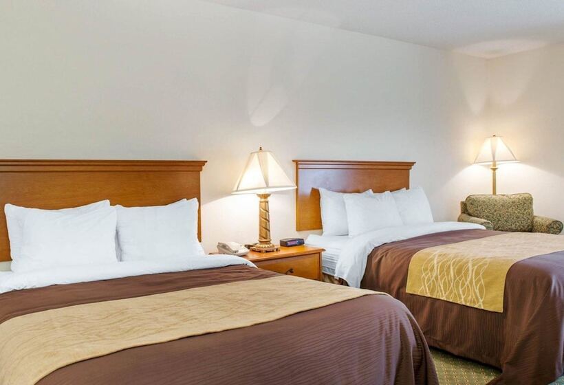 스탠다드 룸 더블 침대 2개, Quality Inn & Suites Near Amish Country