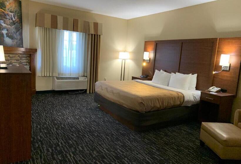 Номер Deluxe Кровать Кинг, Quality Inn & Suites Hendersonville  Flat Rock