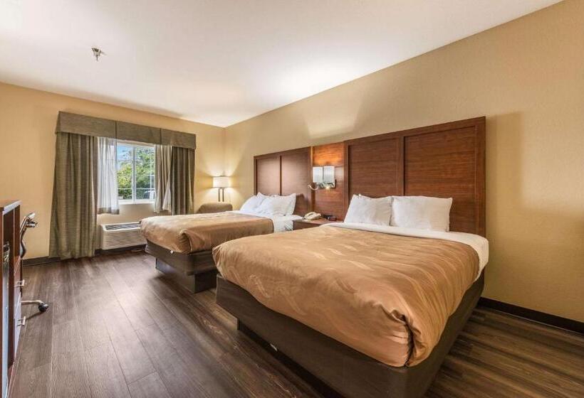 Номер Стандарт, Quality Inn & Suites Hendersonville  Flat Rock