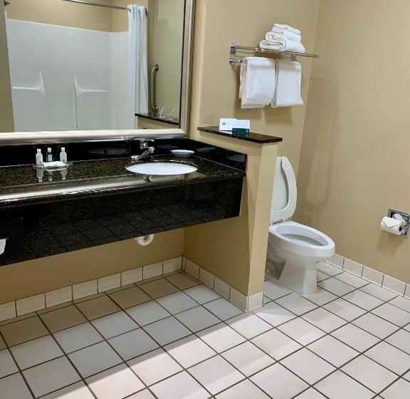 Номер Стандарт, Quality Inn & Suites Hendersonville  Flat Rock