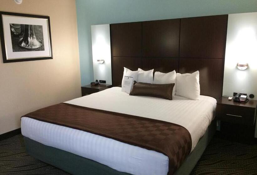 Camera Standard Letto King, Best Western Plus Galleria Inn & Suites