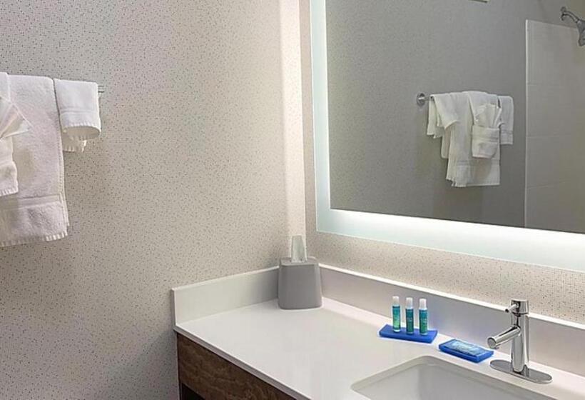 스탠다드 룸, Holiday Inn Express Hotel & Suites Columbia Fort Jackson, An Ihg