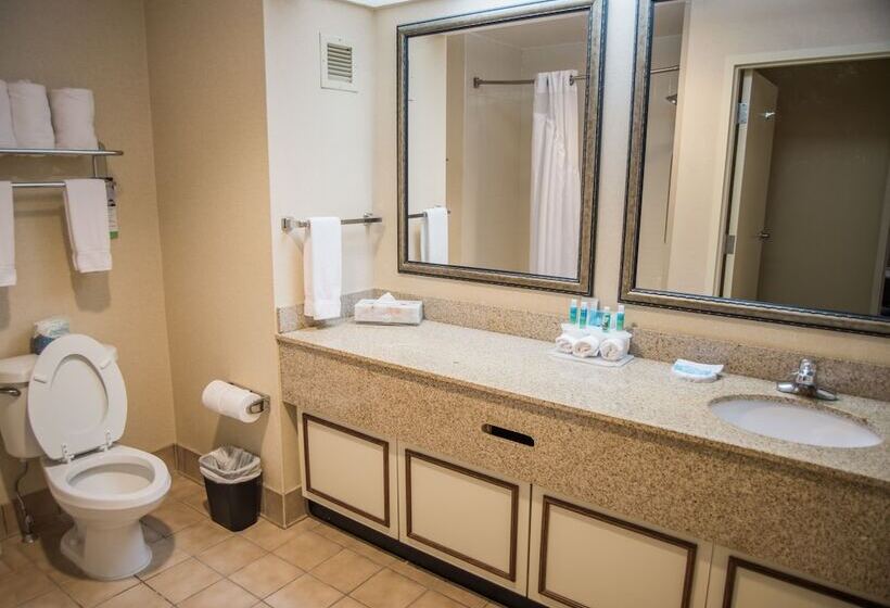 Люкс, Holiday Inn Express Hotel & Suites Conover   Hickory Area, An Ihg