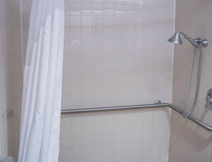 Люкс Адаптированный для Инвалидов, Holiday Inn Express Hotel & Suites Conover   Hickory Area, An Ihg