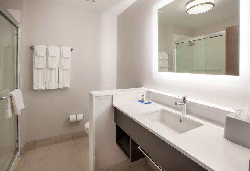 스탠다드 룸, Holiday Inn Express Atlanta W  Douglasville, An Ihg