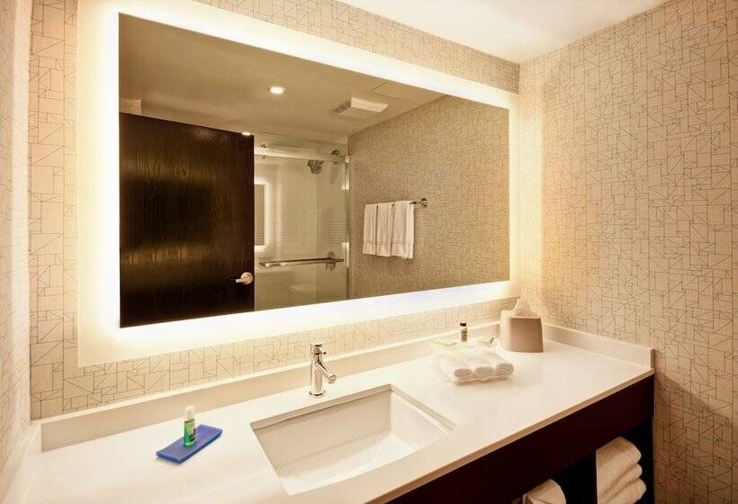 スイート, Holiday Inn Express & Suites Allentown Dorney Park Area, An Ihg